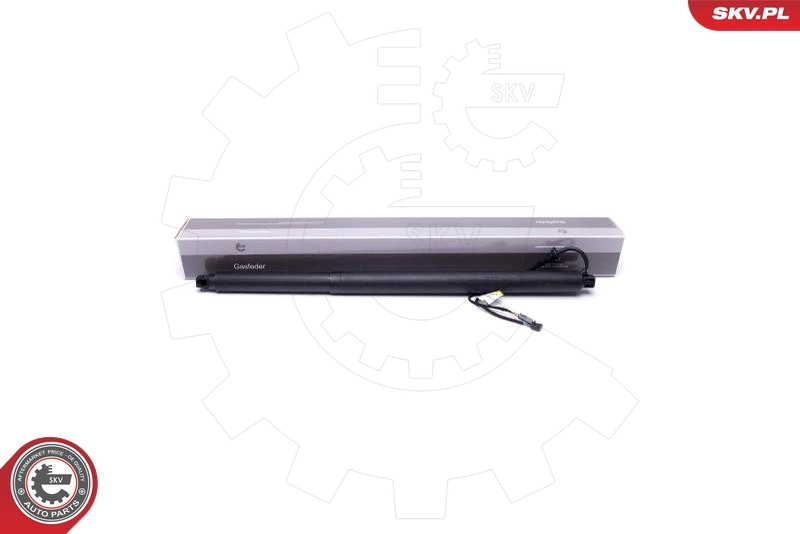 Electric Motor, tailgate